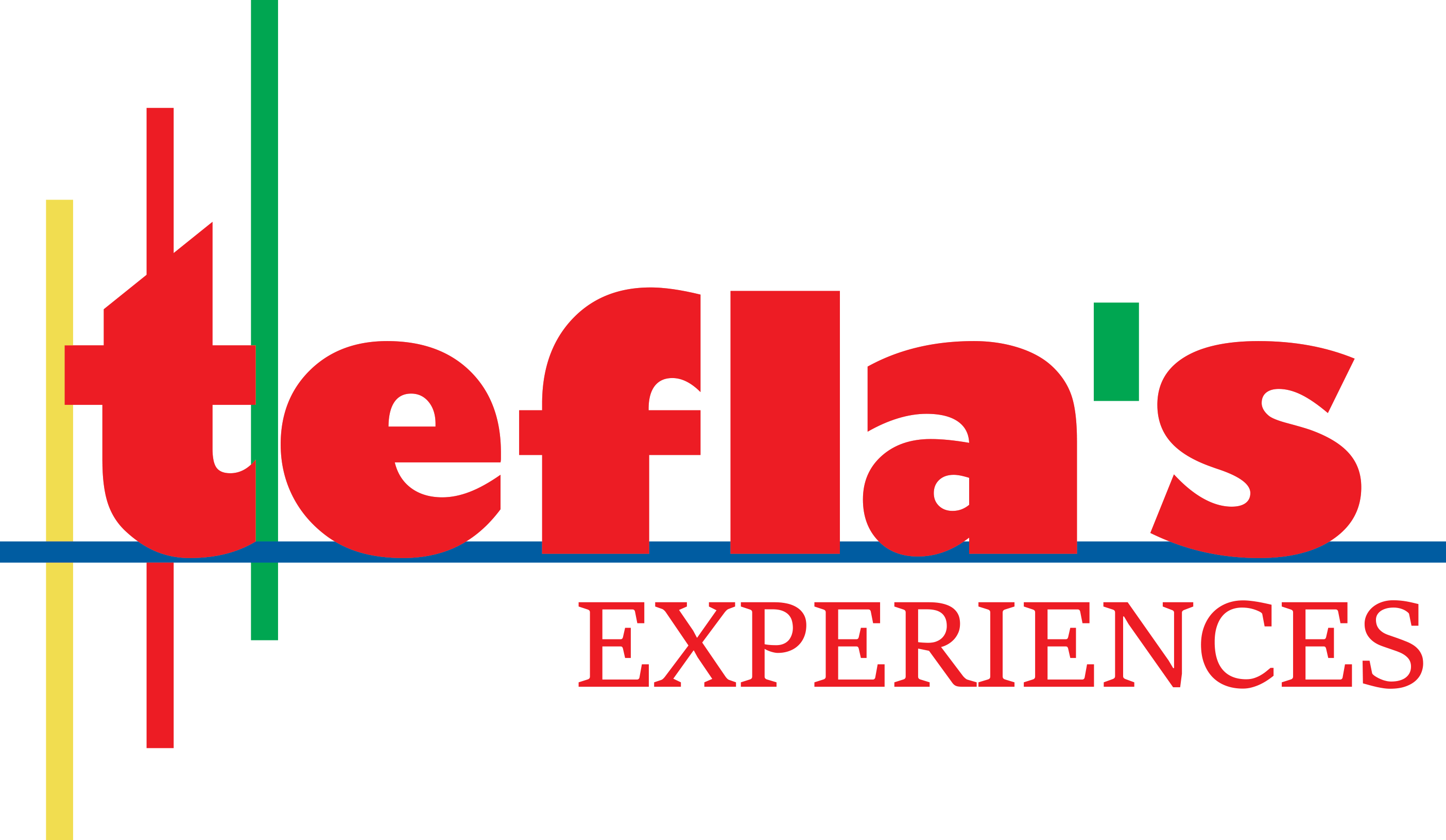 Teflas-Experiences-Final-1-1